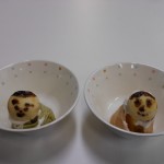 DSCN9653